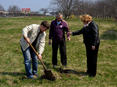 Actions “Clean Environment” and “Plant a Tree”
